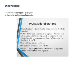 Diagnóstico:
Identificacion del agente etiológico
en las materias fecales del paciente.
 