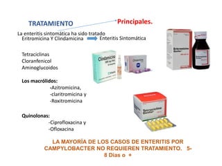 TRATAMIENTO
Enteritis Sintomática
Eritromicina Y Clindamicina
Tetraciclinas
Cloranfenicol
Aminoglucoidos
Los macrólidos:
-Azitromicina,
-claritromicina y
-Roxitromicina
Quinolonas:
-Ciprofloxacina y
-Ofloxacina
LA MAYORÍA DE LOS CASOS DE ENTERITIS POR
CAMPYLOBACTER NO REQUIEREN TRATAMIENTO. 5-
8 Días o +
Principales.
La enteritis sintomática ha sido tratado
 
