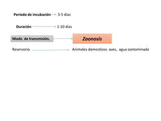 Modo de transmisión. Zoonosis
Período de incubación 3-5 días
Duración 1-10 días
Reservorio Animales domesticos- aves, agua contaminada
 