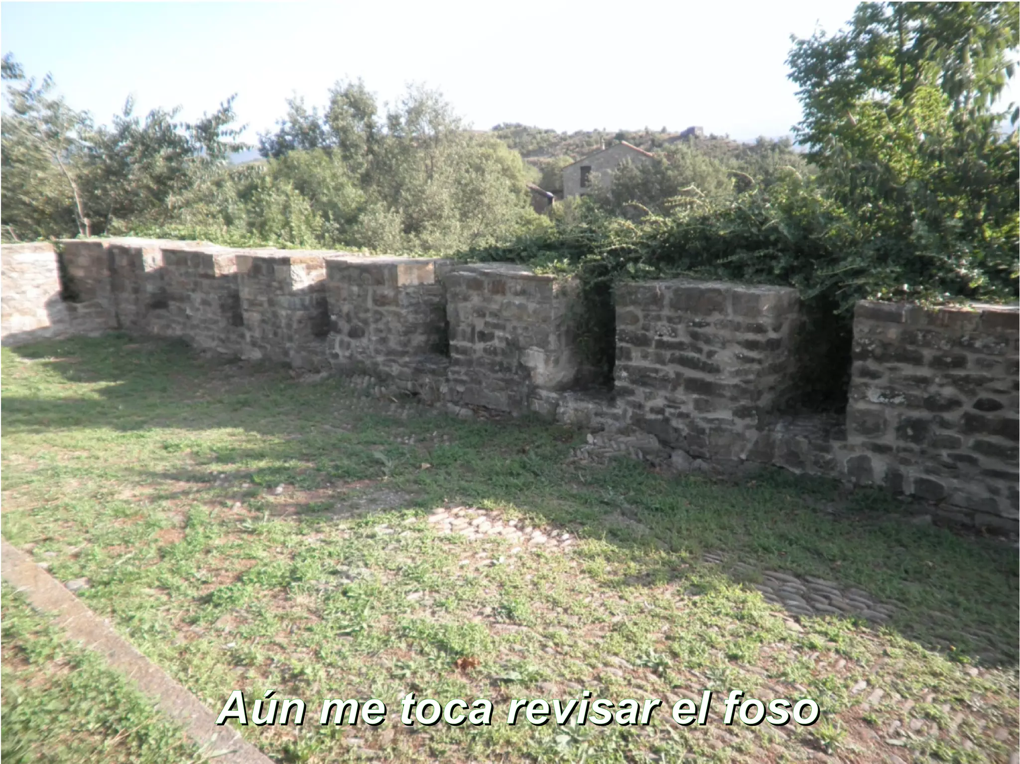 AAúúnn mmee ttooccaa rr eevviissaarr eell ffoossoo 
 