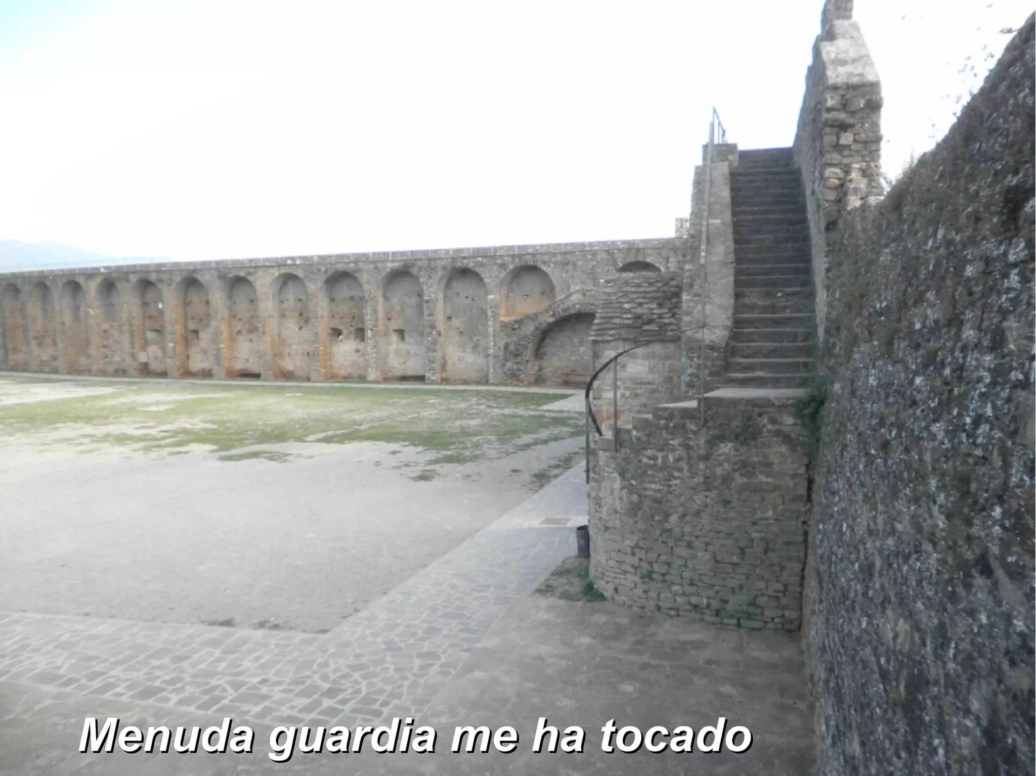 MMeennuuddaa gguuaarrddiiaa mmee hhaa ttooccaaddoo 
 