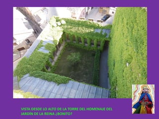 VISTA DESDE LO ALTO DE LA TORRE DEL HOMENAJE DEL
JARDÍN DE LA REINA ¿BONITO?
 