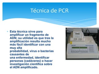 Técnica de PCR

Esta técnica sirve para
amplificar un fragmento de
ADN; su utilidad es que tras la
amplificación resulta mucho
más fácil identificar con una
muy alta
probabilidad, virus o bacterias
causantes de
una enfermedad, identificar
personas (cadáveres) o hacer
investigación científica sobre
el ADN amplificado.

 