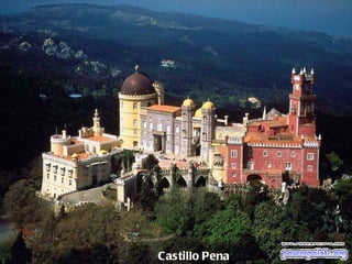 Castillo   Pena 