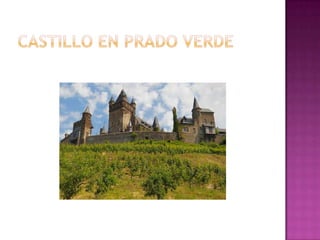 Castillo en prado verde