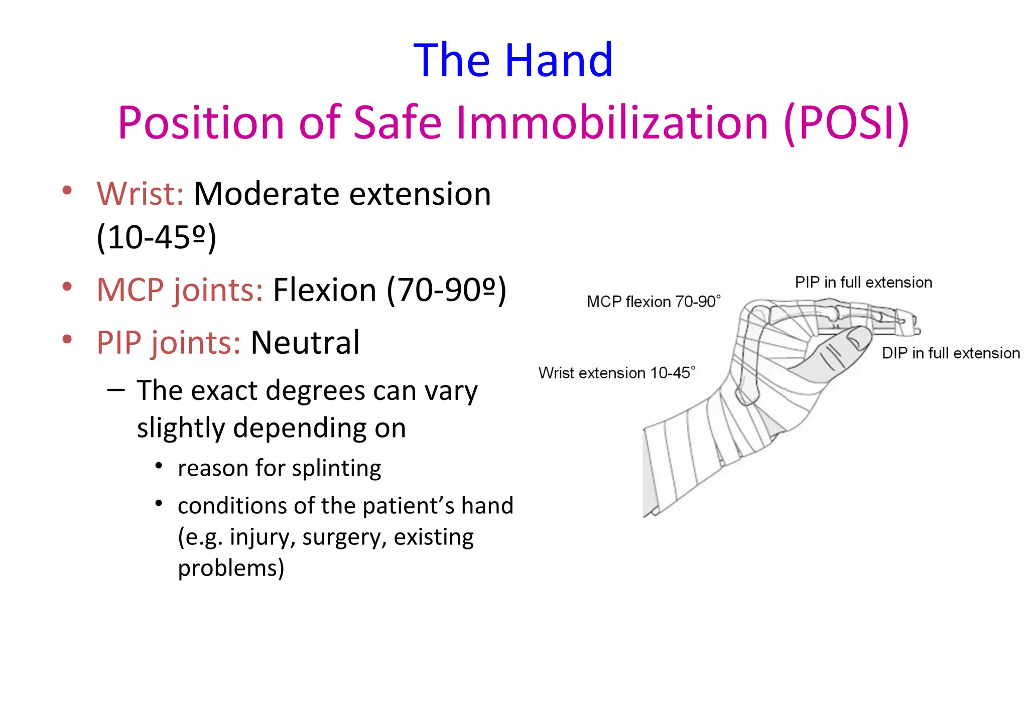 The Hand
Position of Safe Immobilization (POSI)
• Wrist: Moderate extension
(10-45º)
• MCP joints: Flexion (70-90º)
• PIP joints: Neutral
– The exact degrees can vary
slightly depending on
• reason for splinting
• conditions of the patient’s hand
(e.g. injury, surgery, existing
problems)
 