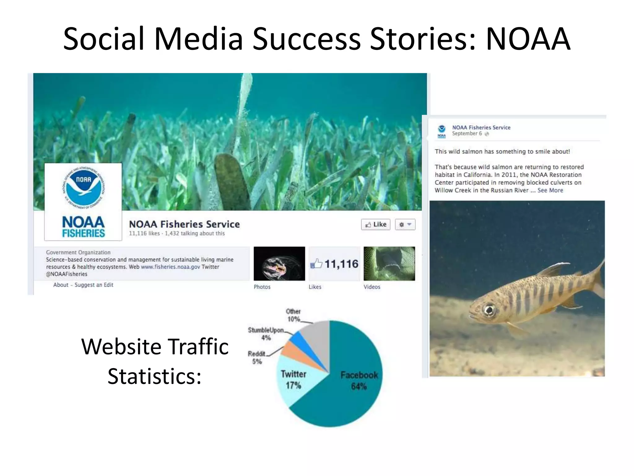 Social Media Success Stories: NOAA
Website Traffic
Statistics:
 