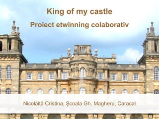 King of my castle Proiect etwinning colaborativ Nicol ăiţă  Cristina,  Ş coala Gh. Magheru, Caracal 