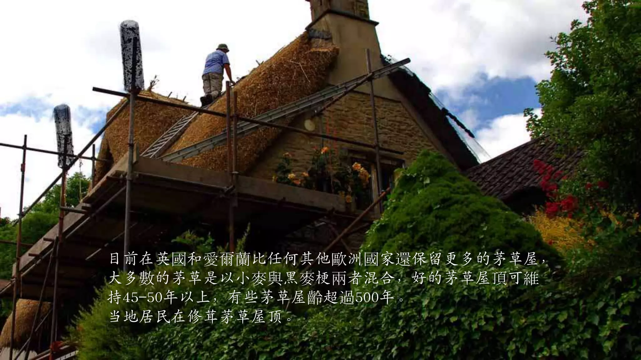 目前在英國和愛爾蘭比任何其他歐洲國家還保留更多的茅草屋，大多數的茅草是以小麥與黑麥梗兩者混合，好的茅草屋頂可維持45-50年以上，有些茅草屋齡超過500年。当地居民在修茸茅草屋顶。