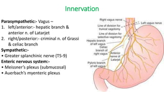Ca stomach | PPTX