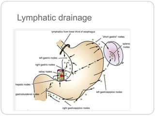 Lymphatic drainage
 