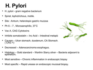 • H. pylori - gram negative bacterium
• Spiral, lophotrichous, motile.
• Site : Antrum, heterotopic gastric mucosa
• Ph 6 – 7 , Microaerophilic, 37’C
• Vac A, CAG Cytotoxins
• Inhibits somatostatin – Inc Acid – Intestinal metaplasia – CA
• Causes – Ulcer stomach, duodenum, CA Stomach, MALToma, SCC esopagus
( CAG +)
• Decreased – Adenocarcinoma esophagus.
• Histology – Gold standard – Warthin Starry silver – Bacteria adjacent to
epithelium.
• Most sensitive – Chronic inflammation in endoscopic biopsy
• Most specific – Rapid urease on endoscopic mucosal biopsy.
H. Pylori
 