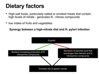 • High-salt foods, particularly salted or smoked meats that contain
high levels of nitrate - generates N - nitroso compounds
• low intake of fruits and vegetables
Synergy between a high-nitrate diet and H. pylori infection
Dietary factors
H.pylori
Bacteria increasing production of N
nitrosamine compounds
Secretion of ascorbic acid that
scavenges free radicals and N
nitrosamine compounds
Increase risk of gastric cancer
 