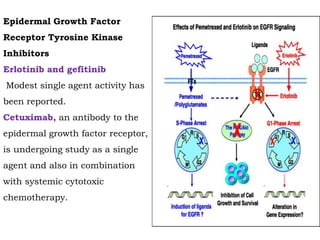 Epidermal Growth Factor
Receptor Tyrosine Kinase
Inhibitors
Erlotinib and gefitinib
Modest single agent activity has
been reported.
Cetuximab, an antibody to the
epidermal growth factor receptor,
is undergoing study as a single
agent and also in combination
with systemic cytotoxic
chemotherapy.
 