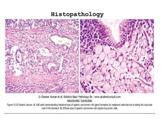 Histopathology
 