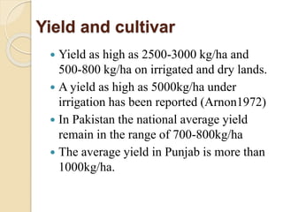Yield and cultivar
 Yield as high as 2500-3000 kg/ha and
500-800 kg/ha on irrigated and dry lands.
 A yield as high as 5000kg/ha under
irrigation has been reported (Arnon1972)
 In Pakistan the national average yield
remain in the range of 700-800kg/ha
 The average yield in Punjab is more than
1000kg/ha.
 