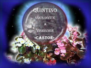 QUINTINO VOUS INVITE A VISIONNER «castor»   