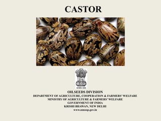 OILSEEDS DIVISION
DEPARTMENT OF AGRICULTURE, COOPERATION & FARMERS’ WELFARE
MINISTRY OF AGRICULTURE & FARMERS’ WELFARE
GOVERNMENT OF INDIA
KRISHI BHAWAN, NEW DELHI
www.nmoop.gov.in
CASTOR
 