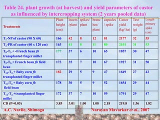 Castor based intercropping systems | PPTX
