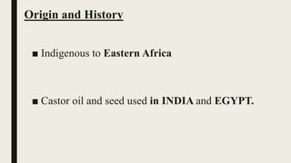 Origin and History
■ Indigenous to Eastern Africa
■ Castor oil and seed used in INDIA and EGYPT.
 