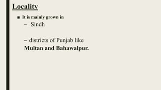 Locality
■ It is mainly grown in
– Sindh
– districts of Punjab like
Multan and Bahawalpur.
 