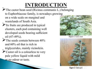 The castor bean seed (Ricinus communis L.) belonging
to Euphorbiaceae family, is nowadays growing
on a wide scale on marginal and
wastelands of South Asia.
Its fruits are produced in typical
clusters, each pod containing well
developed seeds bearing sufficient
oil (47-49%).
The seeds contain between 40%
and 60% oil that is rich in
triglycerides, mainly ricinolein.
Castor oil is a colourless to very
pale yellow liquid with mild
or no odour or taste.
 