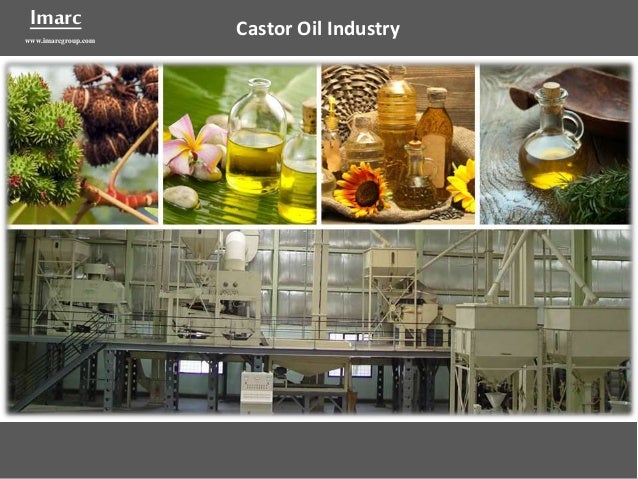 Castor Oil Market – Industry Analysis, Prices & Manufacturing Plant R…