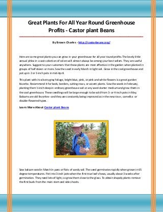 Great Plants For All Year Round Greenhouse
Profits - Castor plant Beans
_____________________________________________________________________________________
By Brown Charles - http://castorbeans.org/
Here are some great plants you can grow in your greenhouse for all year round profits.The lovely little
annual phlox in a vast selection of colors will almost always be among your best sellers. They are useful
anywhere. Suggest to your customers that these plants are most effective in the garden when planted in
groups of half dozen or more. Sow the seed in early March in light soil. Grow in the cool greenhouse and
pot up in 2 or 3-inch pots in mid-April.
This plant with its silvery-gray foliage, bright blue, pink, or pink and white flowers is a great garden
favorite. Recommend it for beds, borders, cutting rows, or accent plants. Sow the seeds in February,
planting them ½ inch deep in ordinary greenhouse soil or any seed-starter medium and grow them in
the cool greenhouse. These seedlings will be large enough to be sold from 3- or 4-inch pots in May.
Balsams are old favorites--and they are constantly being improved as in the new rose-, camellia- or
double-flowered types.
Learn More About Castor plant Beans
Sow balsam seed in March in pans or flats of sandy soil. The seed germinates rapidly when grown in 65
degree temperatures. Pot into 3-inch pots when the first true leaf shows, usually about 3 weeks after
germination. They need lots of light, so grow them close to the glass. To obtain shapely plants remove
the first buds from the main stem and side shoots.
 