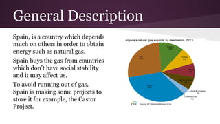Castor project | PDF
