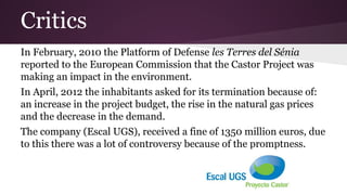 Castor project | PDF
