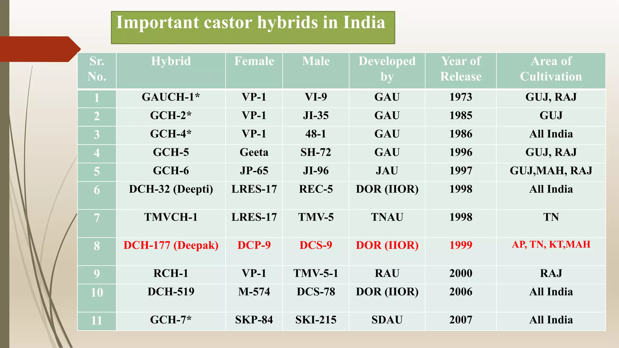 Seed Production Technologies in Castor | PPTX