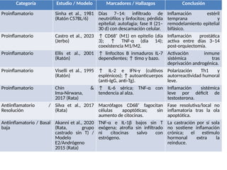 Castracion_ProAnti_Diferencias_Rata_vs_Raton_ES (1).pptx