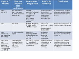 Castracion_ProAnti_Diferencias_Rata_vs_Raton_ES (1).pptx