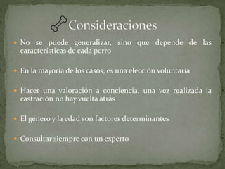  No se puede generalizar, sino que depende de las
características de cada perro
 En la mayoría de los casos, es una elección voluntaria
 Hacer una valoración a conciencia, una vez realizada la
castración no hay vuelta atrás
 El género y la edad son factores determinantes
 Consultar siempre con un experto
 