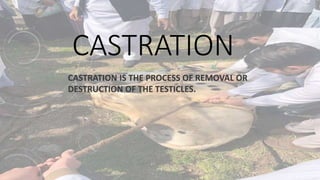 CASTRATION AND ITS TYPES IN VETERINARY ANIMALS | PPTX