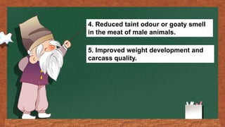 4. Reduced taint odour or goaty smell
in the meat of male animals.
5. Improved weight development and
carcass quality.
 
