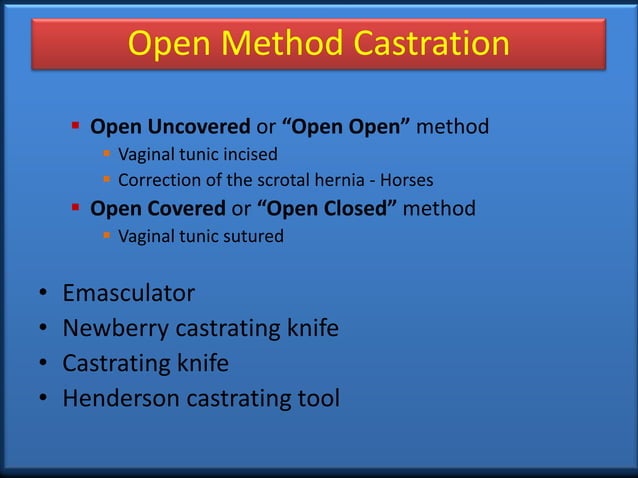 Castration Procedure in Farm Animals (Teaching PPT Material) | PPTX ...