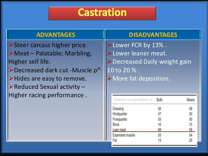 Castration Procedure in Farm Animals (Teaching PPT Material)