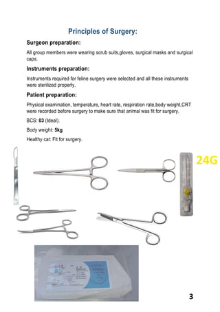 3
Principles of Surgery:
Surgeon preparation:
All group members were wearing scrub suits,gloves, surgical masks and surgical
caps.
Instruments preparation:
Instruments required for feline surgery were selected and all these instruments
were sterilized properly.
Patient preparation:
Physical examination, temperature, heart rate, respiration rate,body weight,CRT
were recorded before surgery to make sure that animal was fit for surgery.
BCS: 03 (Ideal).
Body weight: 5kg
Healthy cat: Fit for surgery.
 