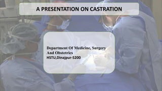 Department Of Medicine, Surgery
And Obstetrics
HSTU,Dinajpur-5200
A PRESENTATION ON CASTRATION
 