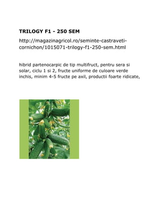 TRILOGY F1 - 250 SEM
http://magazinagricol.ro/seminte-castraveti-
cornichon/1015071-trilogy-f1-250-sem.html


hibrid partenocarpic de tip multifruct, pentru sera si
solar, ciclu 1 si 2, fructe uniforme de culoare verde
inchis, minim 4-5 fructe pe axil, productii foarte ridicate,
 