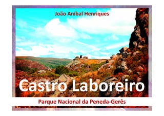 João Aníbal Henriques
Castro Laboreiro
Parque Nacional da Peneda-Gerês
 