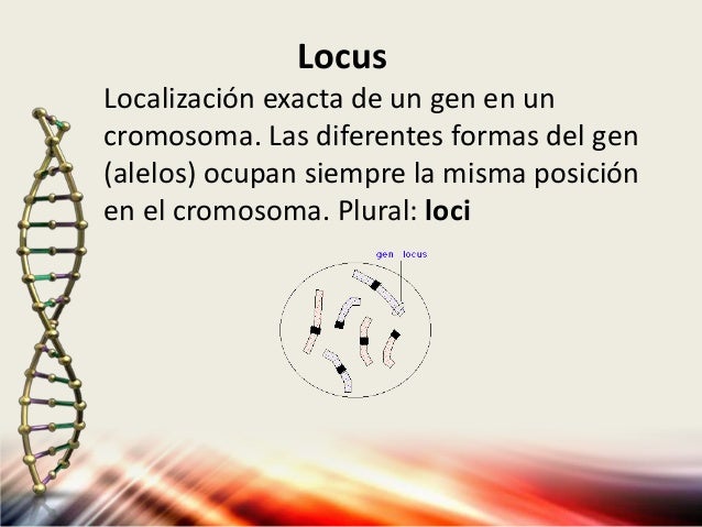 Glosario de Genetica