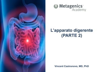 L’apparato digerente
(PARTE 2)
Vincent Castronovo, MD, PhD
 