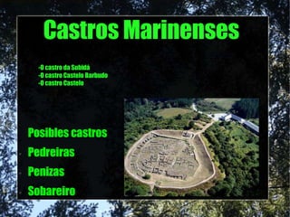 Castros Marinenses
Posibles castros
Pedreiras
Penizas
Sobareiro
●
●
●
-O castro da Subidá
-O castro Castelo Barbudo
-O castro Castelo
 