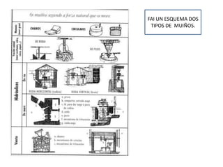 FAI UN ESQUEMA DOS
TIPOS DE MUIÑOS.
 