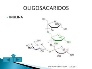  INULINA
12/05/2016LADY PAOLA CASTRO SEGURA
 