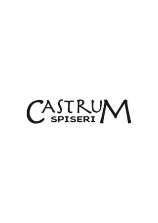 Castrum Spiseri Logotype