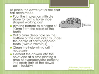 To place the dowels after the cast
has been made:
 Pour the impression with die
stone to form a horse shoe
shaped working cast
 Trim the bottom to a height of
10mm from the necks of the
teeth
 Drill a 5mm deep hole on the
bottom of the cast directly under
the centre of each prepared
tooth.( with a 2mm bur)
 Clean the hole with a drill if
necessary
 Cement the dowels into the
holes one at a time placing a
drop of cyanoacrylate cement
into each (tails of the dowel
point facially) Shillingburg, Fundamentals of
fixedproshodontics, 3rd edition
 