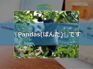 『Pandas(ぱんだ)』です
 